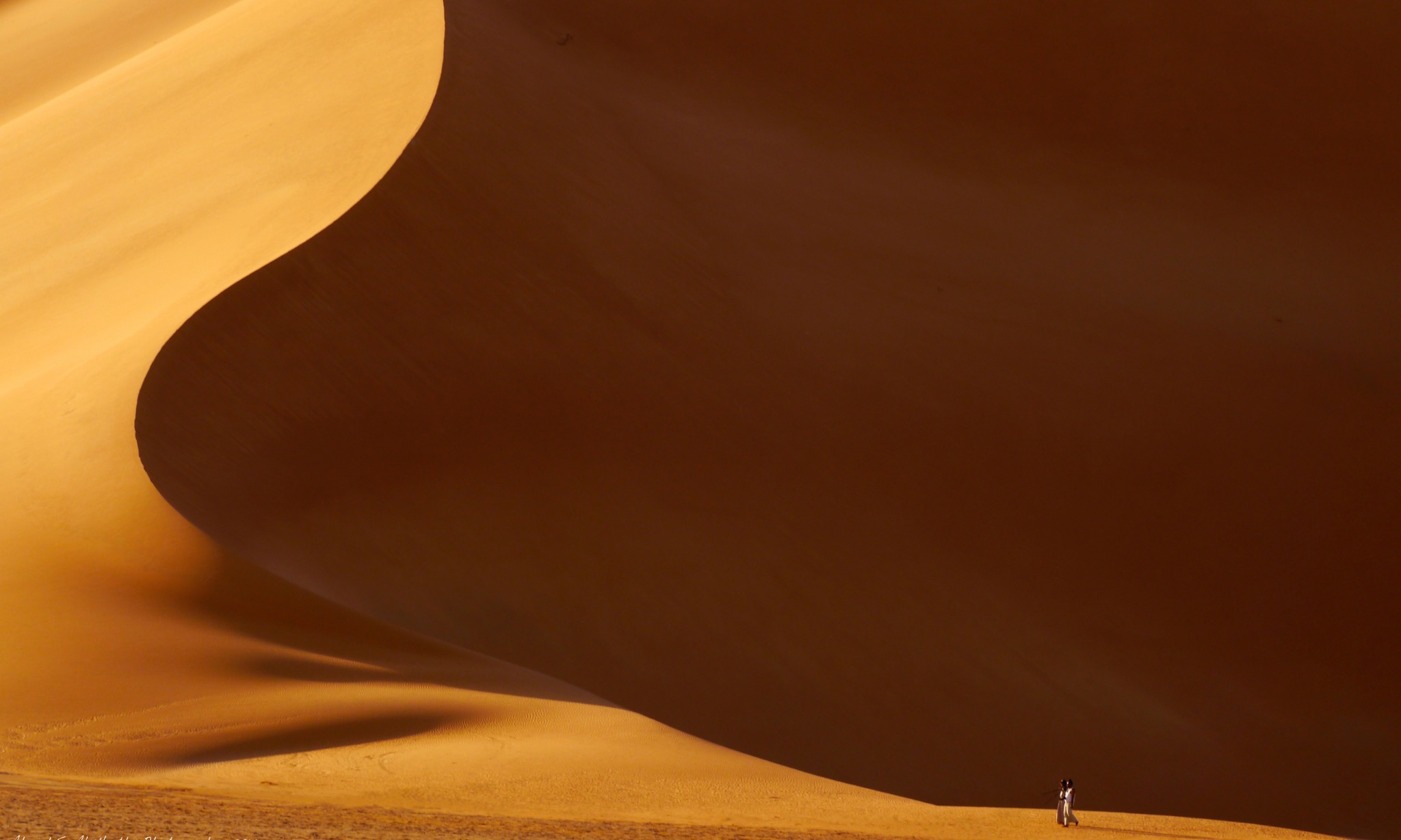 Solitude in the Sands