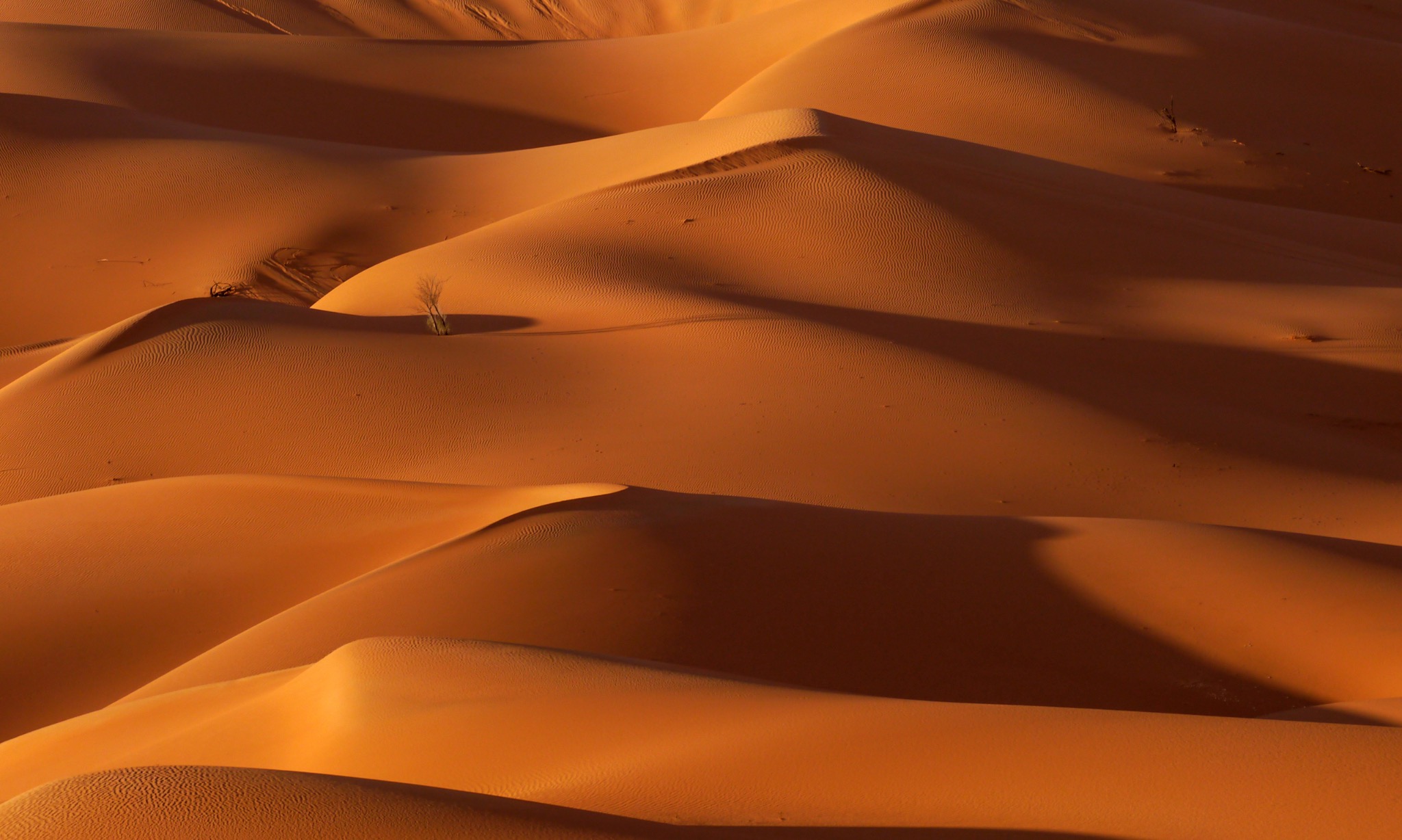 City Lights & Sand Dunes